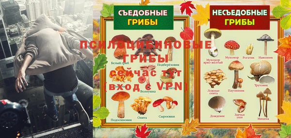 эйфоретик Алзамай