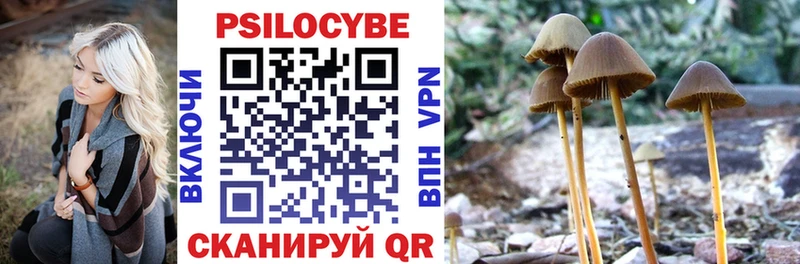Псилоцибиновые грибы MAGIC MUSHROOMS MEGA онион площадка формула Новосиль